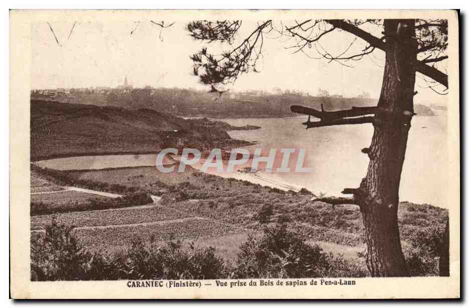 CPA Carantec Vue Prise du Bois de Sapias de Pen a Lann