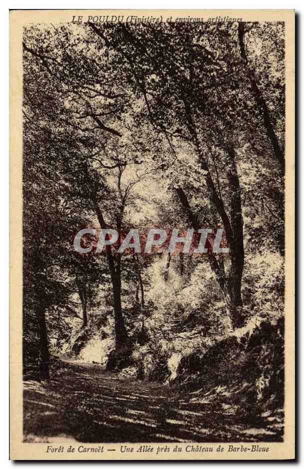 CPA Foret de Carnoet Une Allee Pres du Chateau de Barbe Bleue Le Pouldu