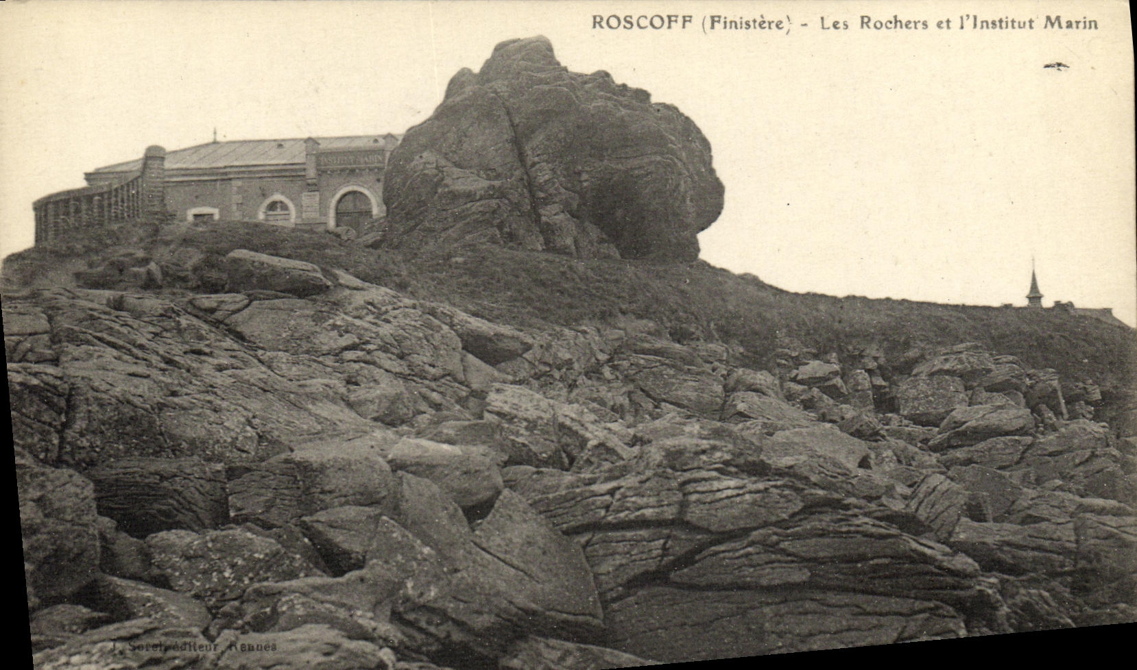 CPA Roscoff Les Rochers et l Institut Marin