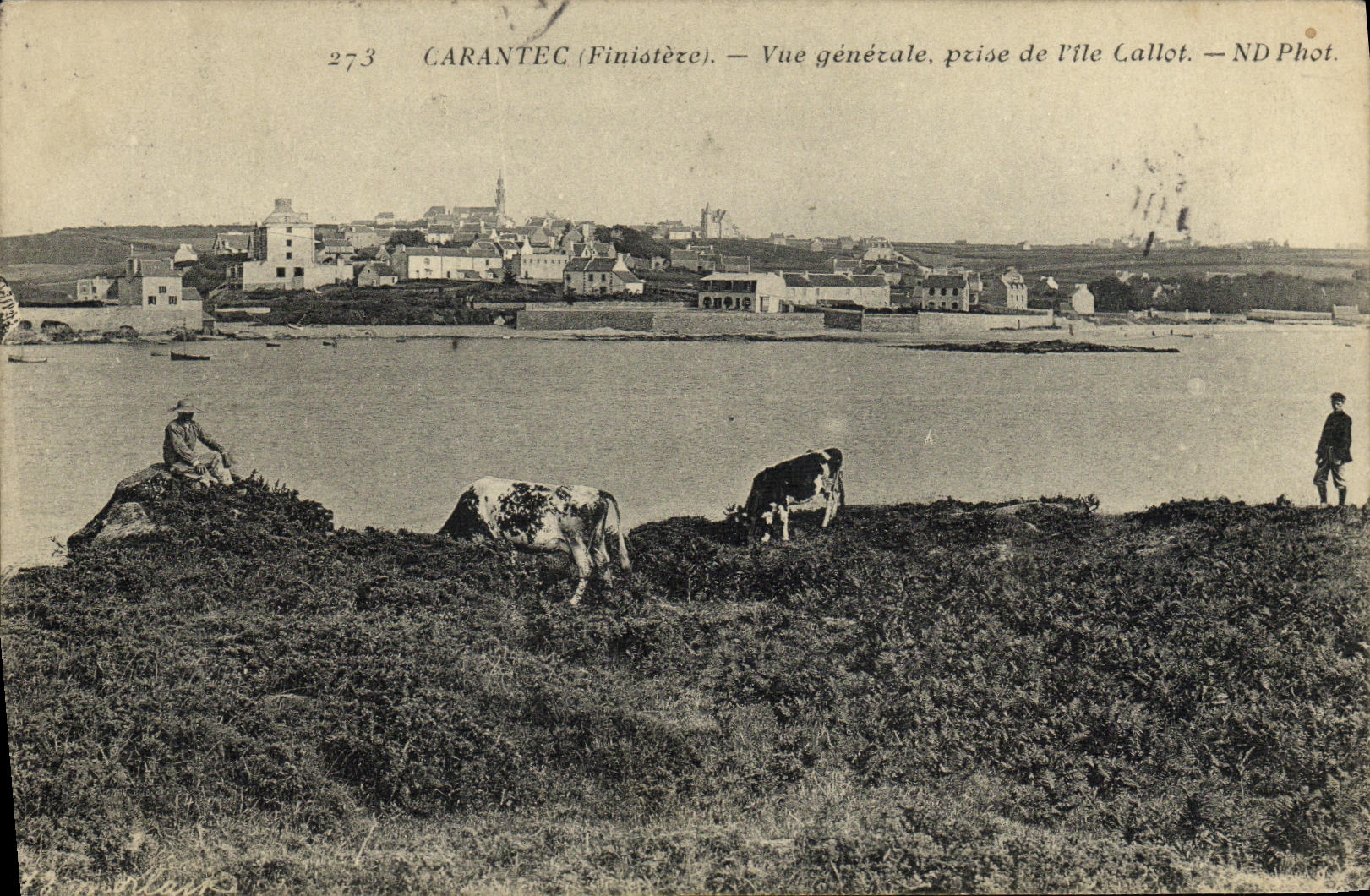 CPA Carantec Vue generale prise de vile Callot Vaches