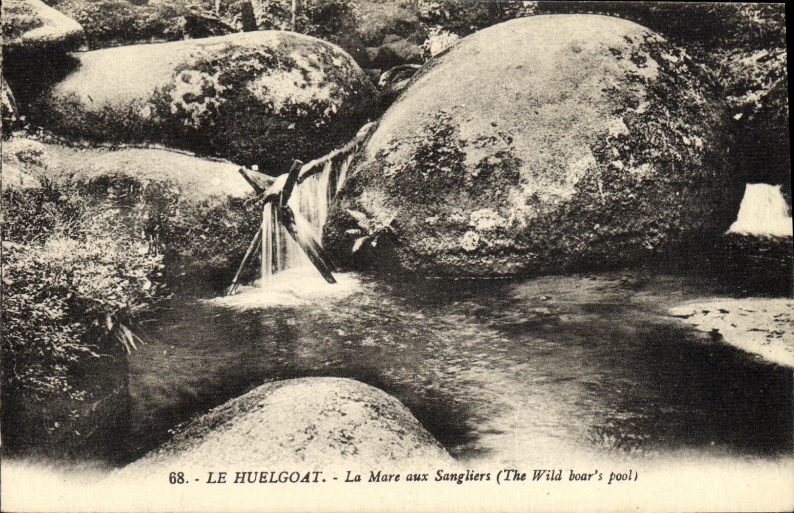 CPA Le Huelgoat La Mare aux Sangliers