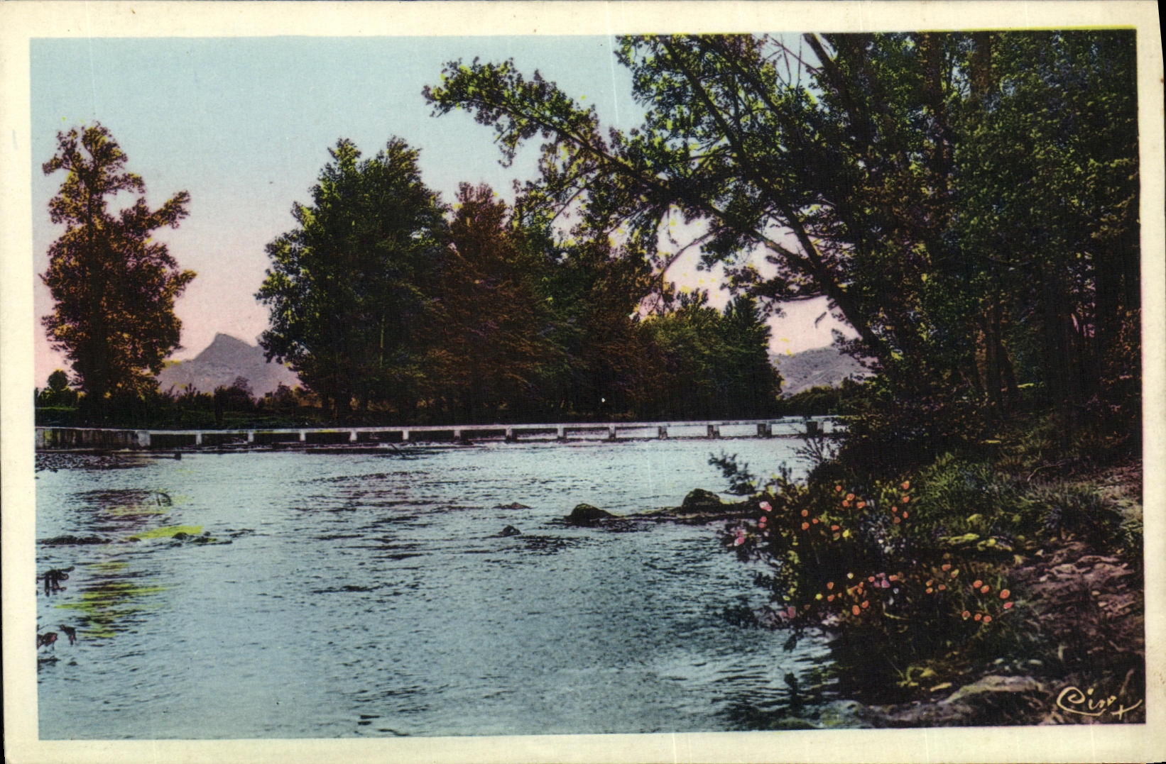 Bords de l'Orb - Pont de la Vernière — Environs de Lamalou-les-Bains (Hérault) — C. P. M. MACON
