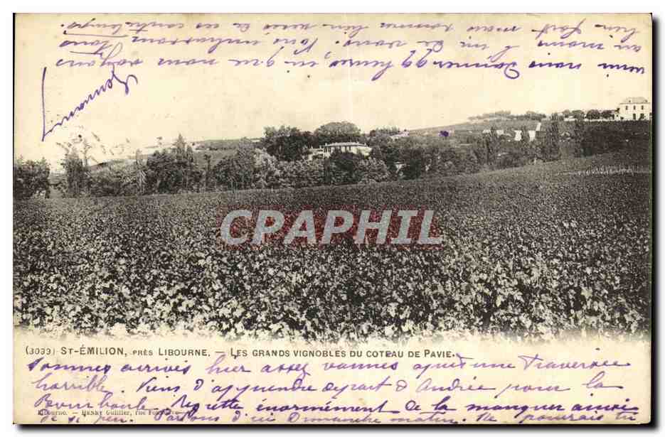 St-Émilion, près Libourne — Les grands vignobles du coteau de Pavie — G. Gaillet, n° 3033