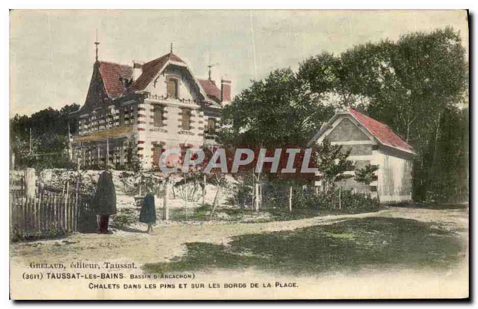CPA Taussat Les Bains Chalets Dans Les Pins Et Les Bords de la plage 