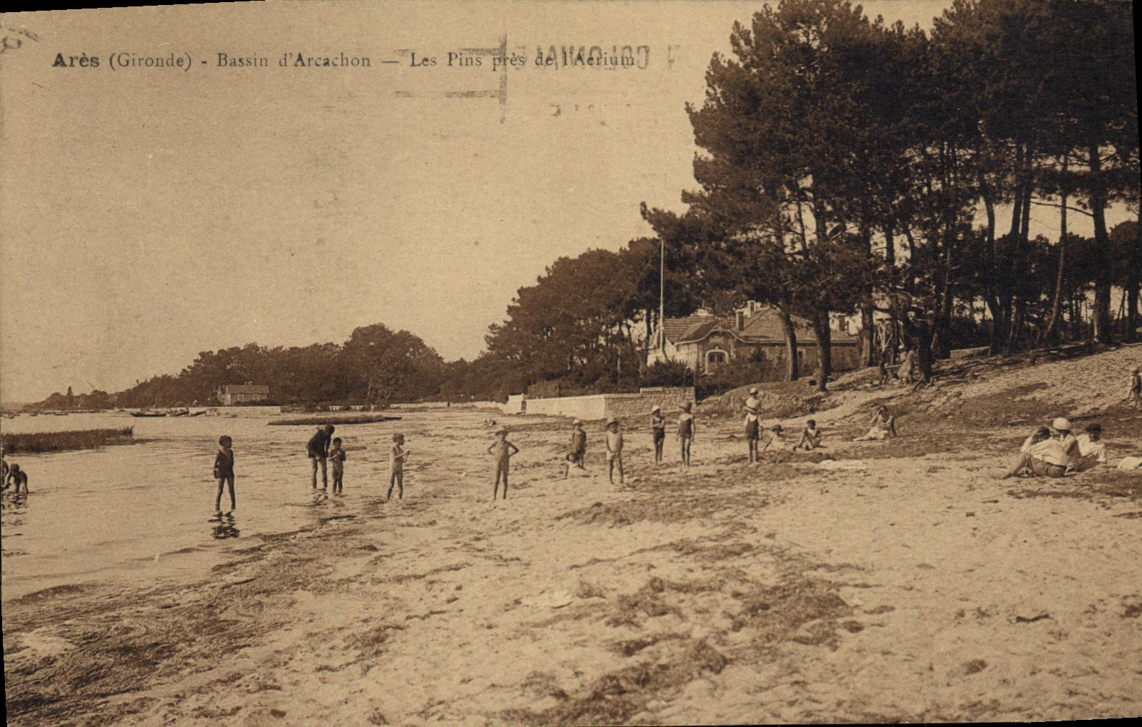 CPA Ares Bassin d Arcachon Les pins pres de l aerium