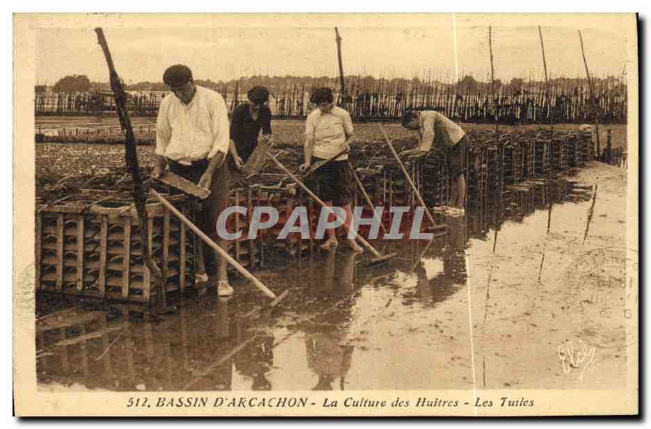 BASSIN D'ARCACHON - La Culture des Huitres - Les Tuiles - Éditeur L. Chatagneau, n°512