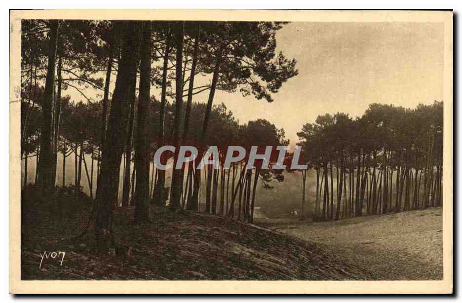 CPA Les Charmes De La Cote D Argent Arcachon