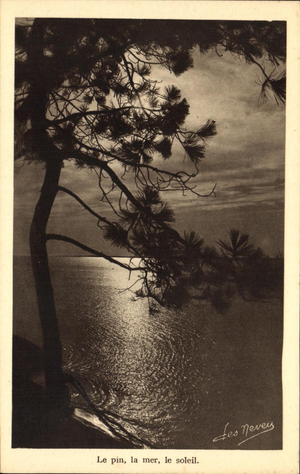Arcachon — Côte d'Argent — Le pin, la mer, le soleil. — Les Nevers