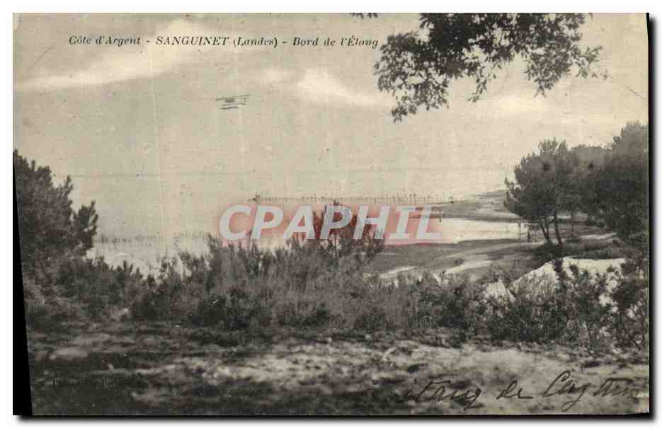 CPA Sanguinet Bord de L Etang Avion Hydravion 