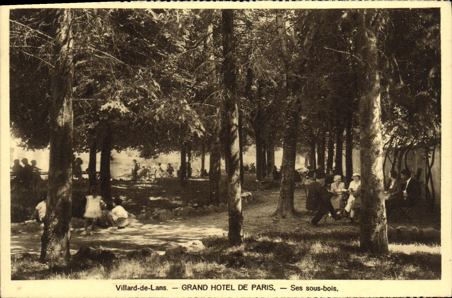 Villard-de-Lans — GRAND HOTEL DE PARIS — Ses sous-bois