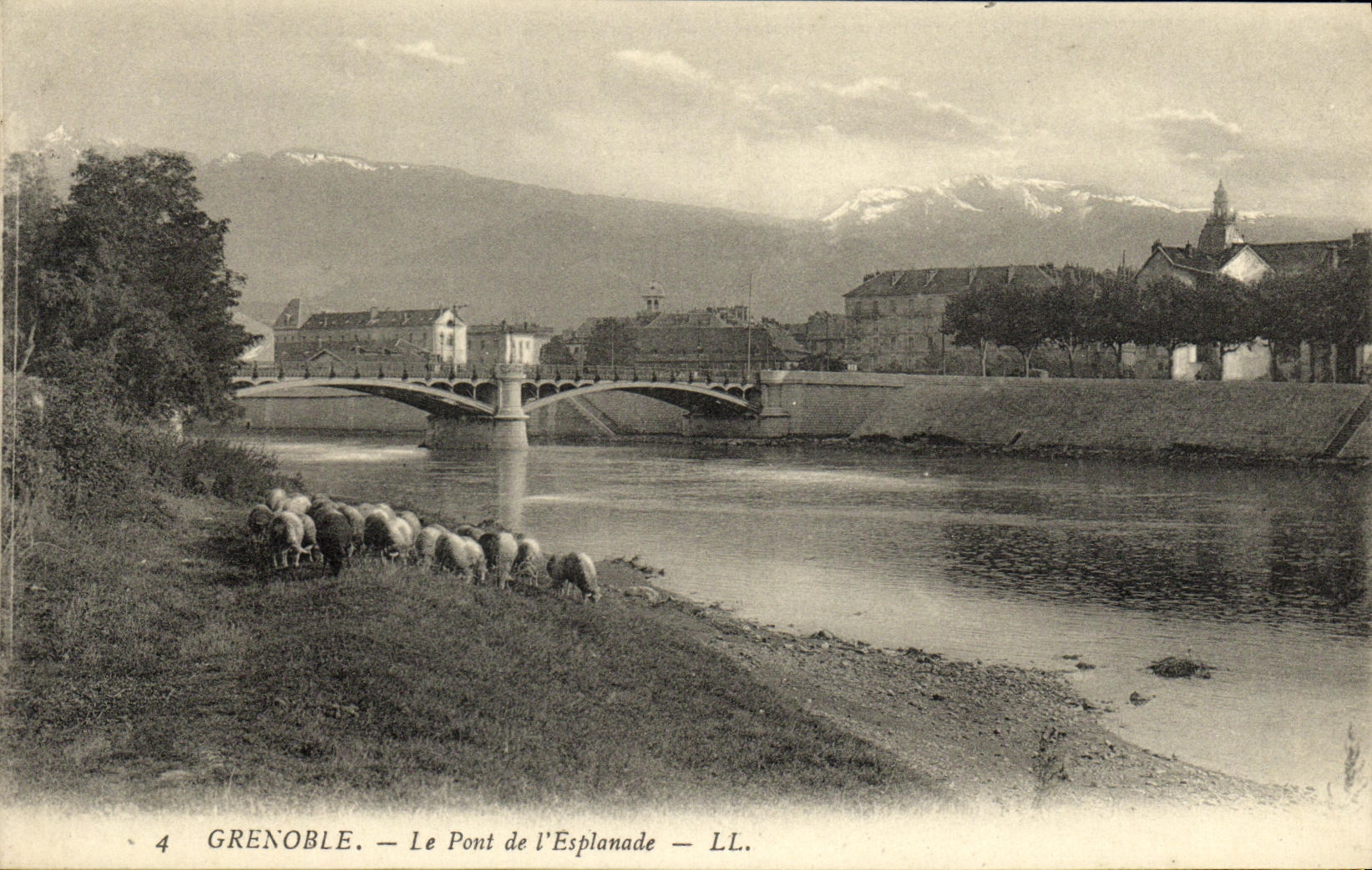 CPA Grenoble Le Pont de l Esplanade Moutons 