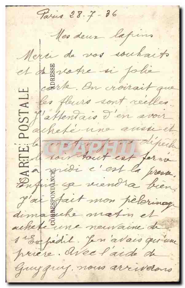 CPA Grenoble Vue Generale de l Ile Verte La tromche et els Alpes — Verso