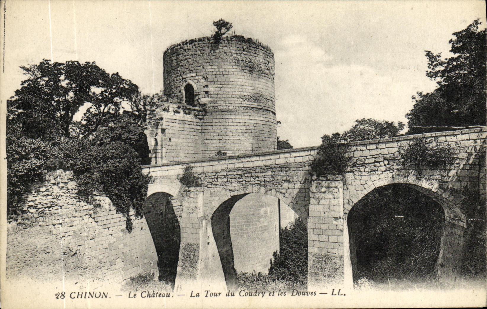 CPA Chinon Le Chateau La Tour du Coudry et les douves