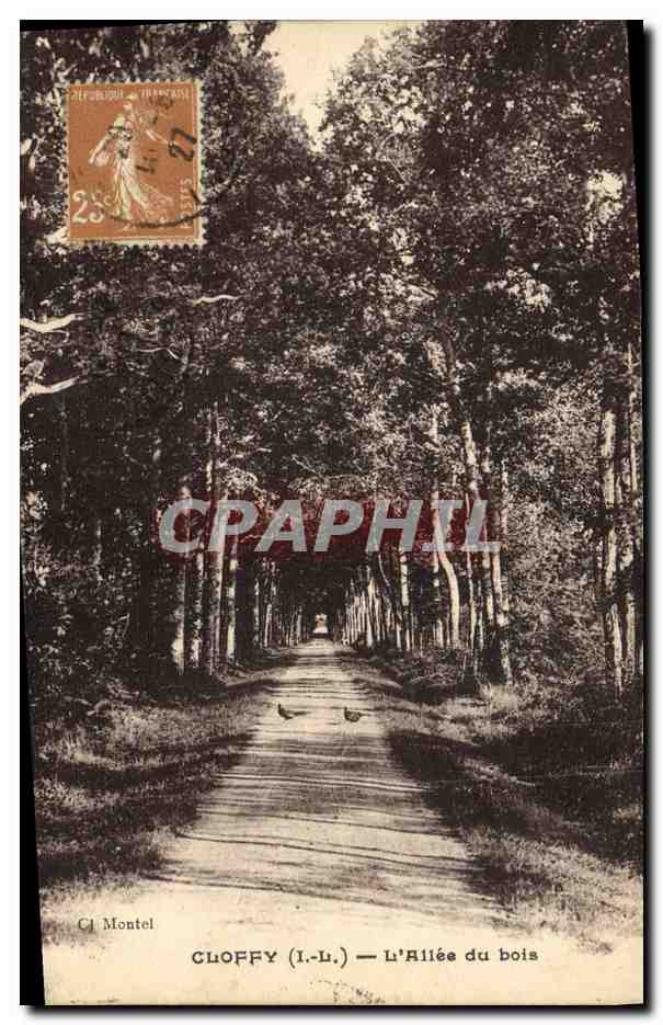 CPA Cloffy L Allee du Bois