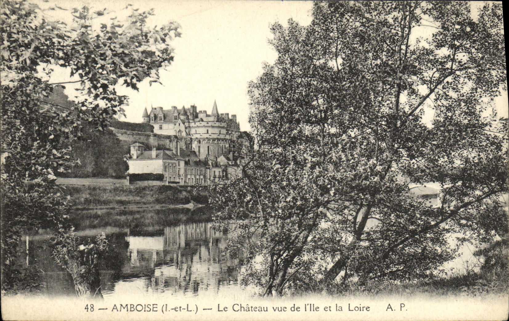 CPA Amboise Le Chateau Vue De I lle et la Loire