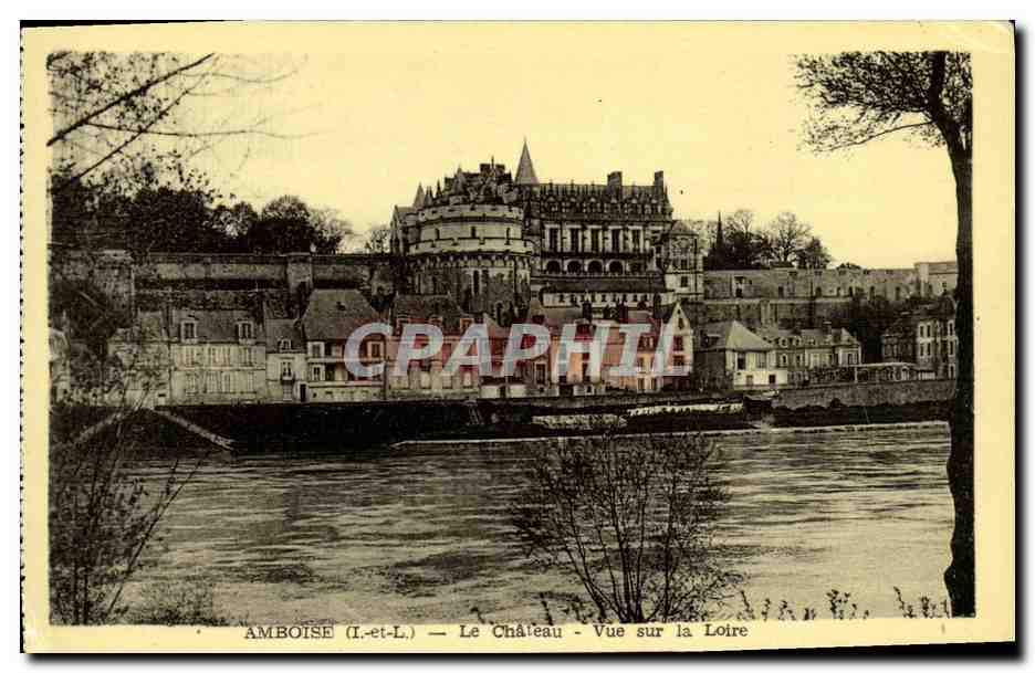 CPA Amboise Le Chateau Vue sur la Loire