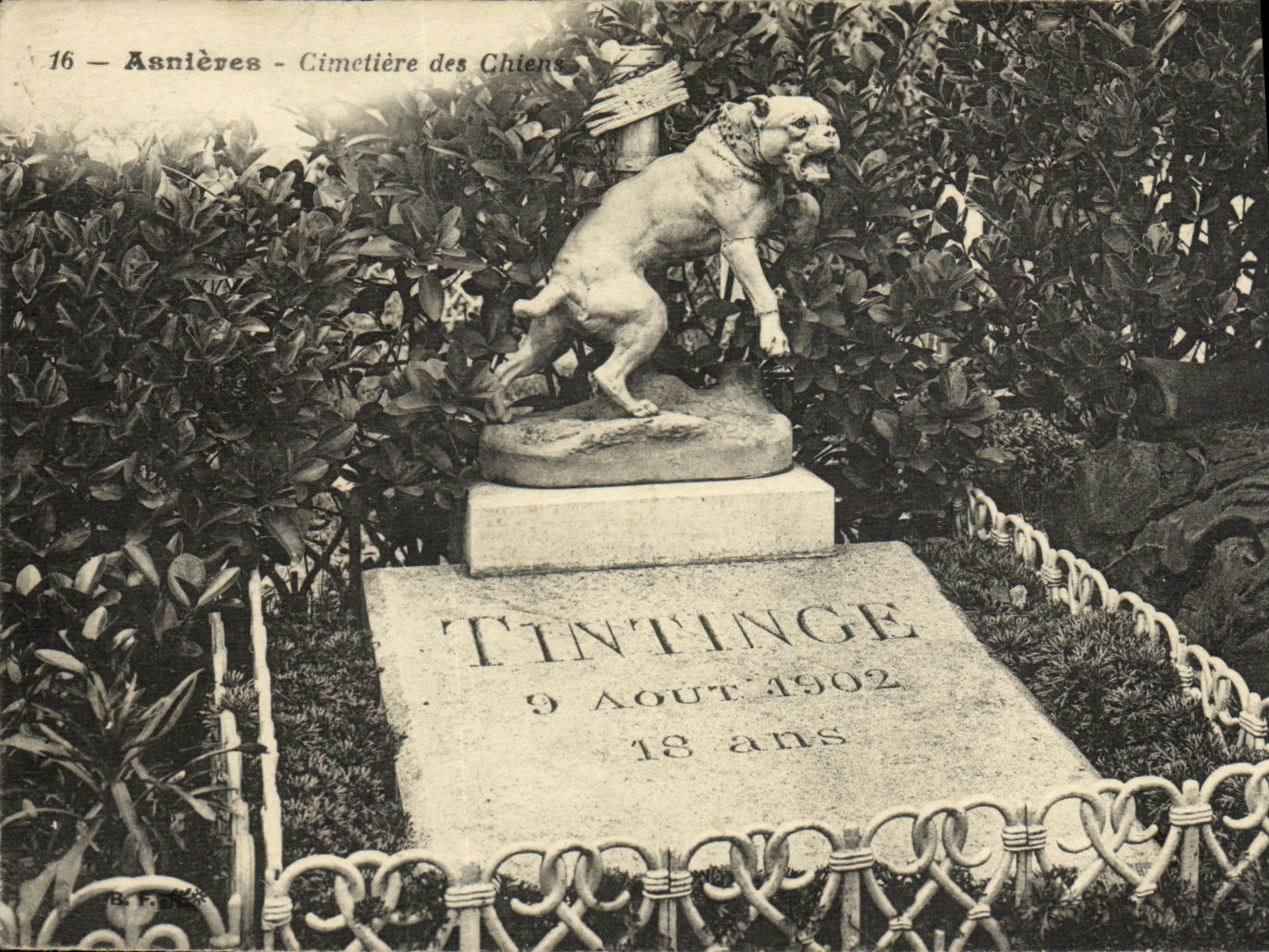 CPA Asnieres Cimetiere des Chiens Tintinge Bouledogue