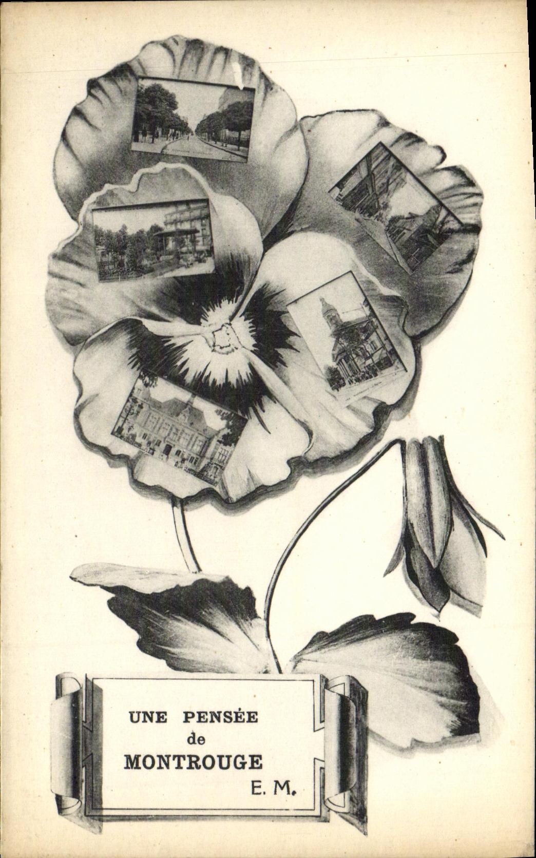 CPA Une Pensee de Montrouge Fleur