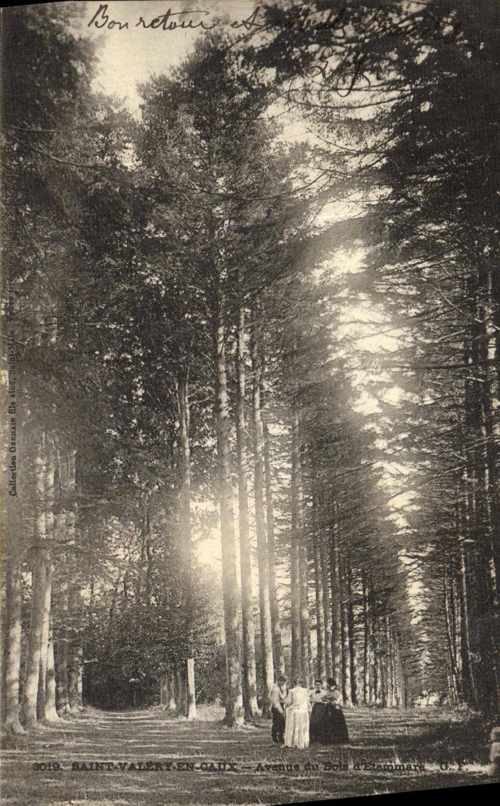 CPA Saint Valery en Caux Avenue du bois d Etammare Femmes