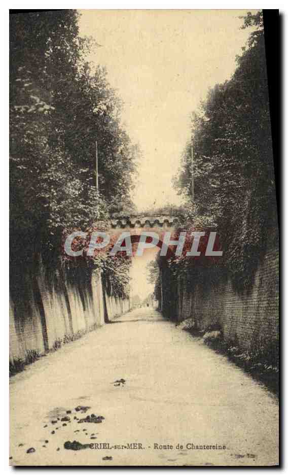 CPA Criel sur Mer Route de Chatereine 