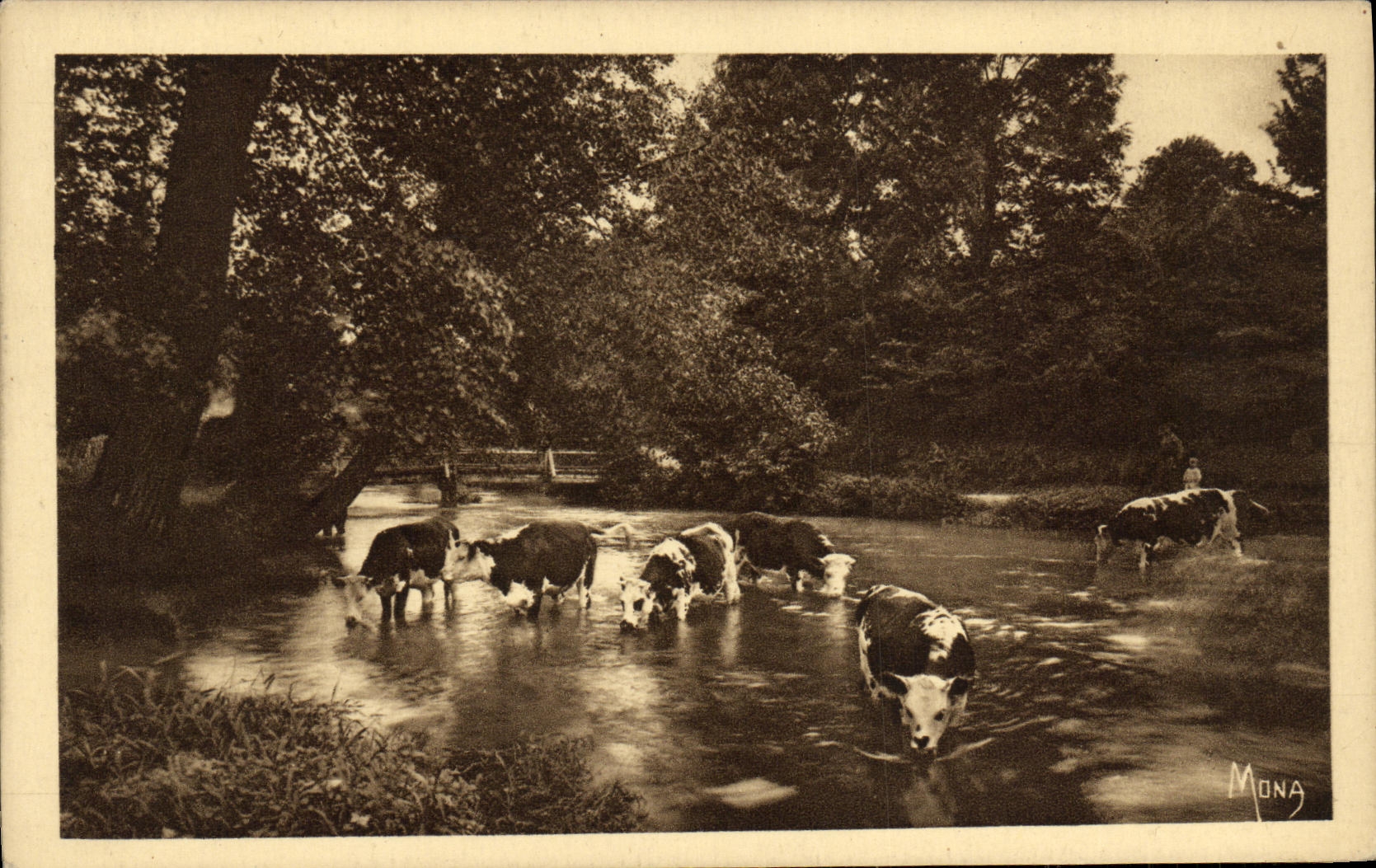 CPA Dieppe Environs De Gue et Abreuvoir Sur L Eaulne Vaches