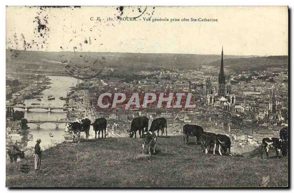 CPA Rouen Vue Generale Prise Cote Ste Catherine Vaches