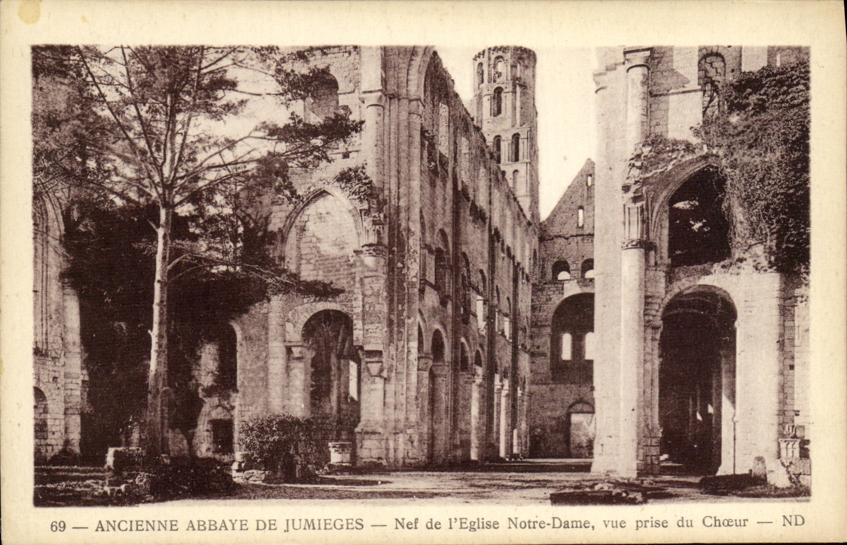 CPA Ancienne Abbaye de Jumieges Nef de l Eglise Notre Dame vue prise du Choeur 