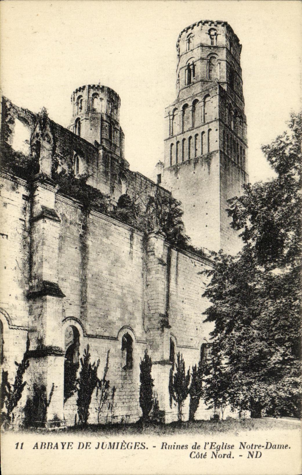 Abtei von Jumièges — Ruinen der Kirche Notre-Dame, nördliche Seite — n° 11