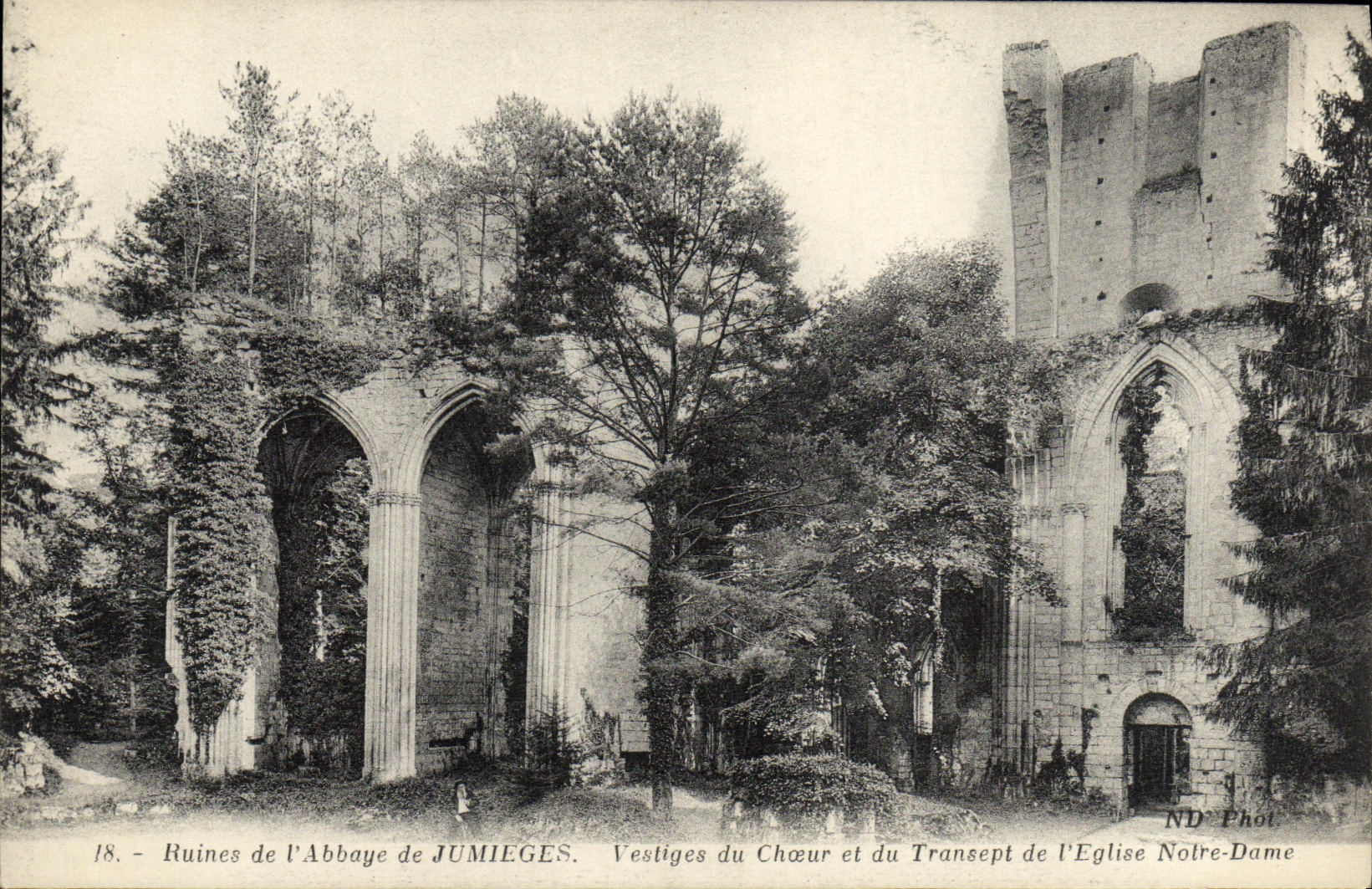 Ruines de l'Abbaye de Jumièges — Vestiges du Chœur et du Transept de l'Église Notre-Dame — ND Phot