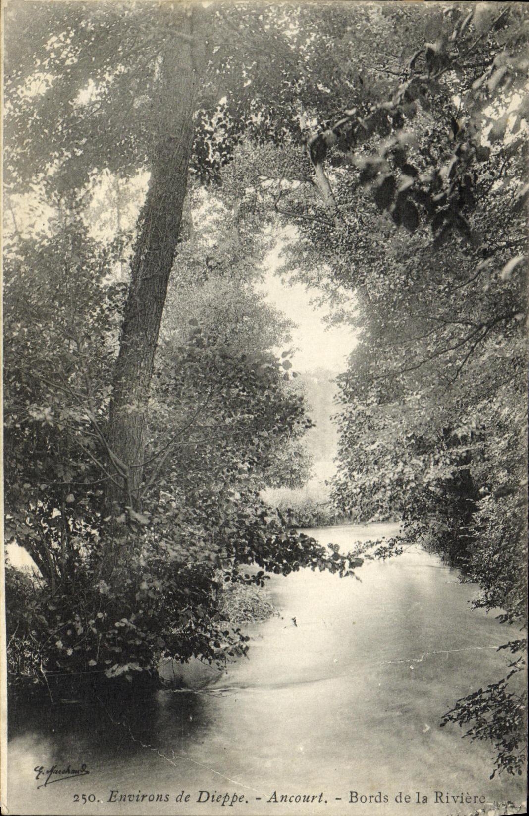 CPA Environs de Dieppe Ancourt Bords de la Riviere 