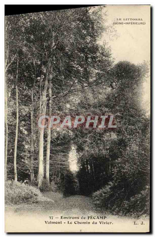 CPA Environs de Fecamp Valmont Le chemin du vivier
