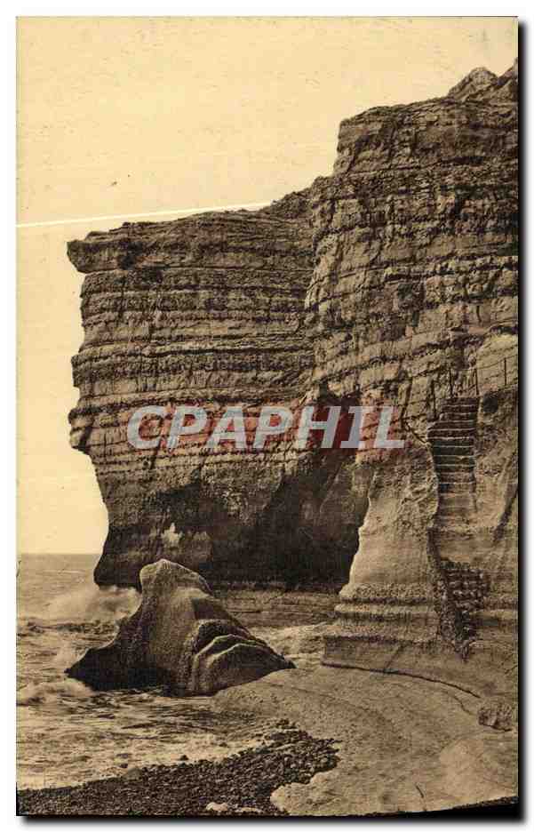 CPA Fecamp Sous les Falaises 
