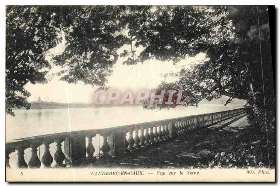 CPA Caudebec en Caux Vue sur la Seine 