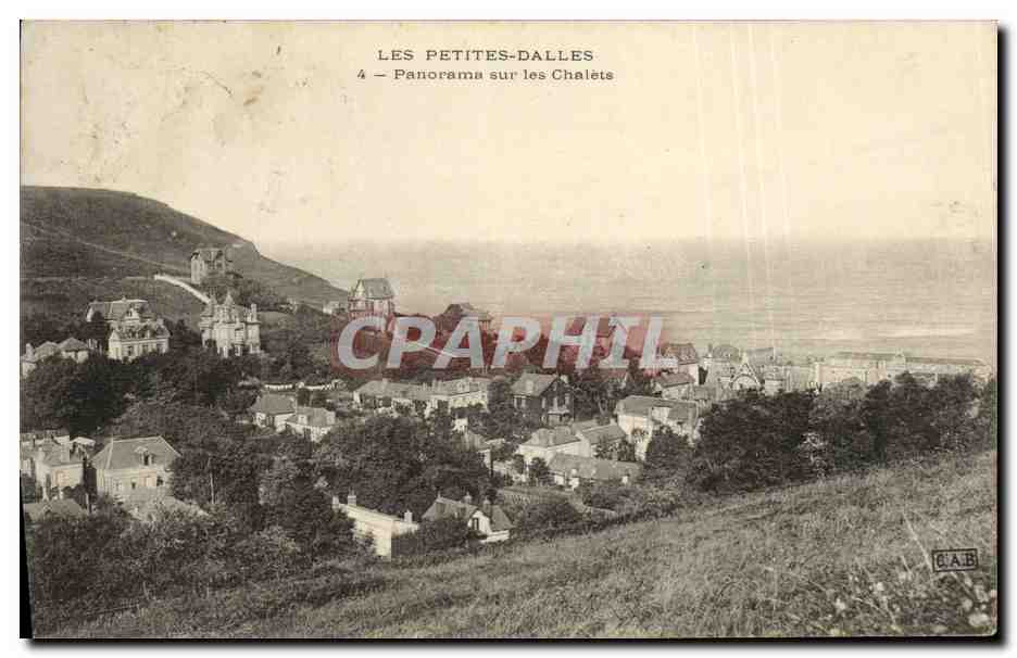 CPA Les Petites Dalles Panorama Sur Les Chalets