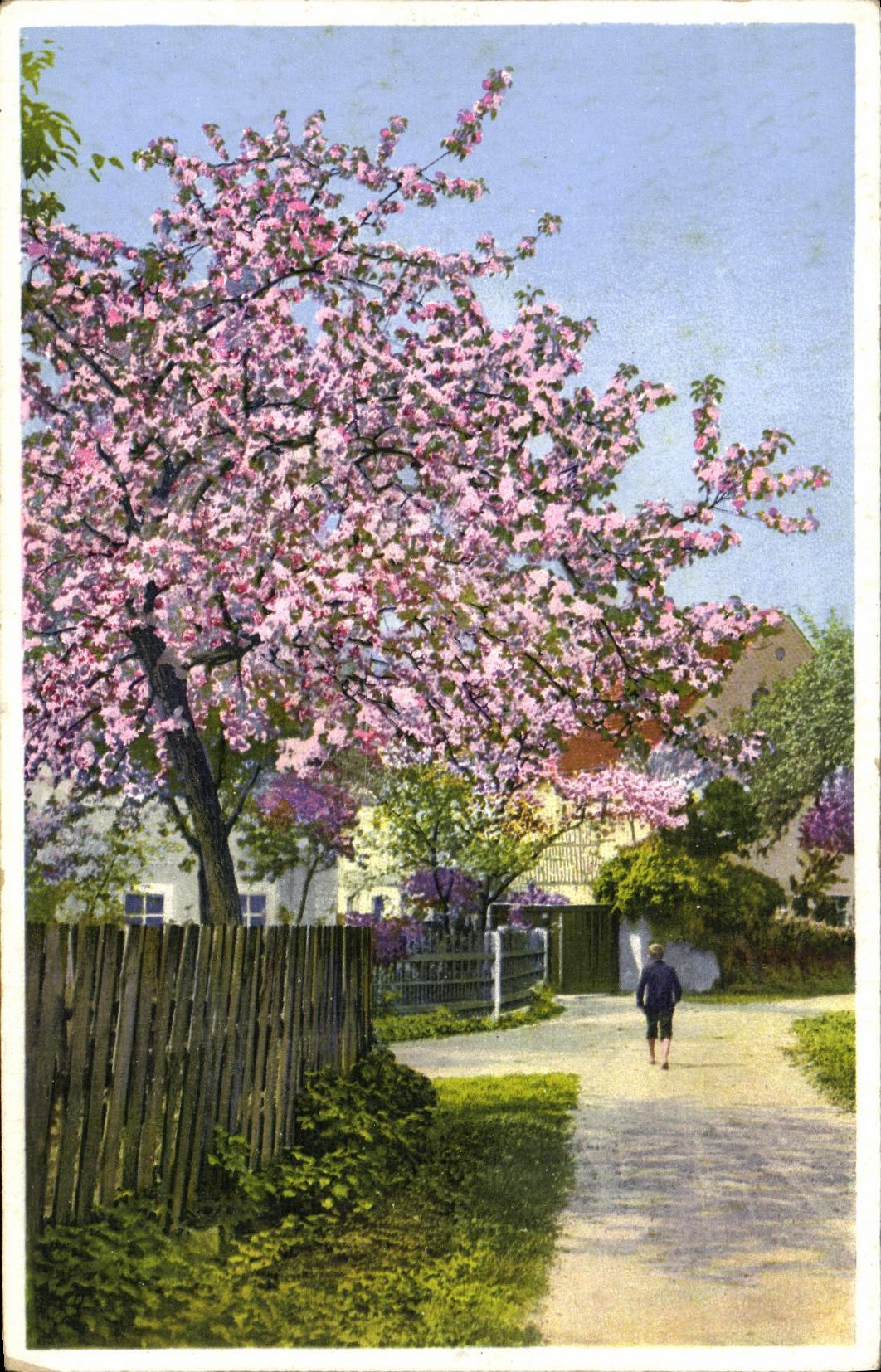 CPA Arbre fleuri