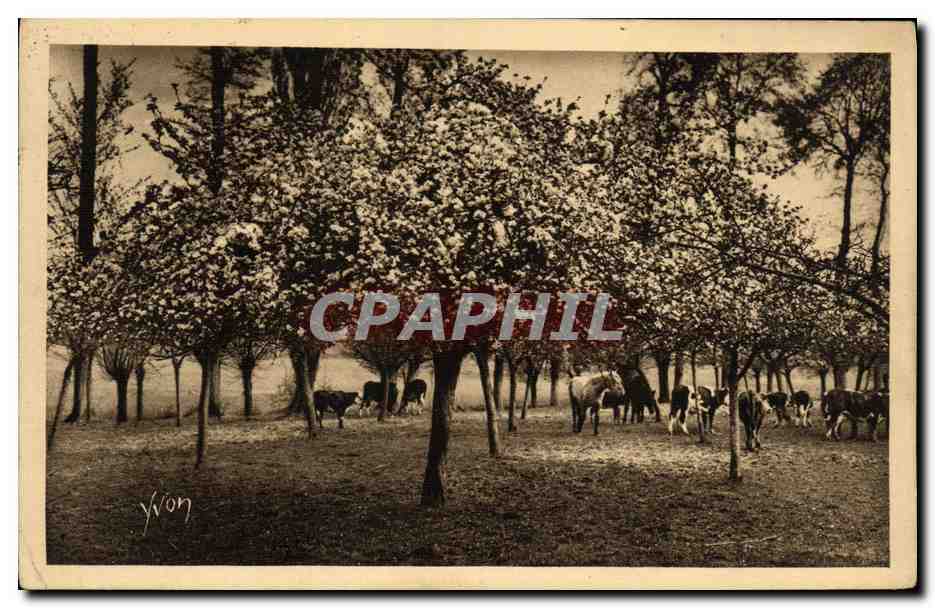 CPA Le clos SAint Marc sur la route de Rouen a Grand Couronne Vaches
