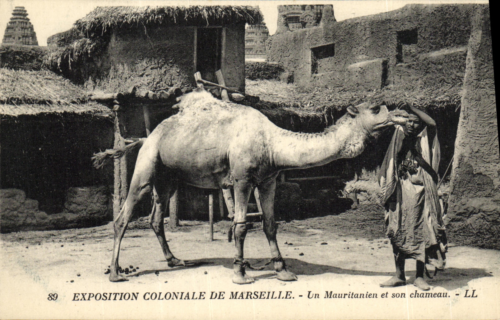 CPA Exposition Coloniale de Marseille Un Mauritanien et son chameau 