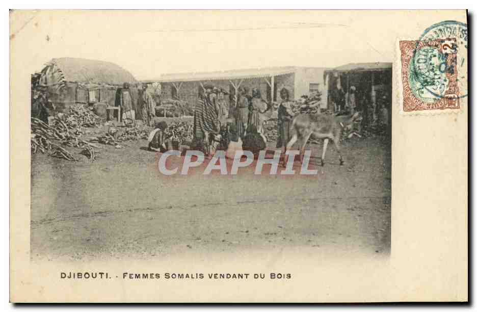 CPA Djibouti Somalis Femmes somalsi vendant du bois TOP