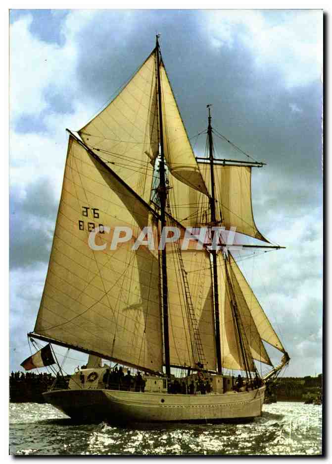 CPM Bateau La belle Poule 