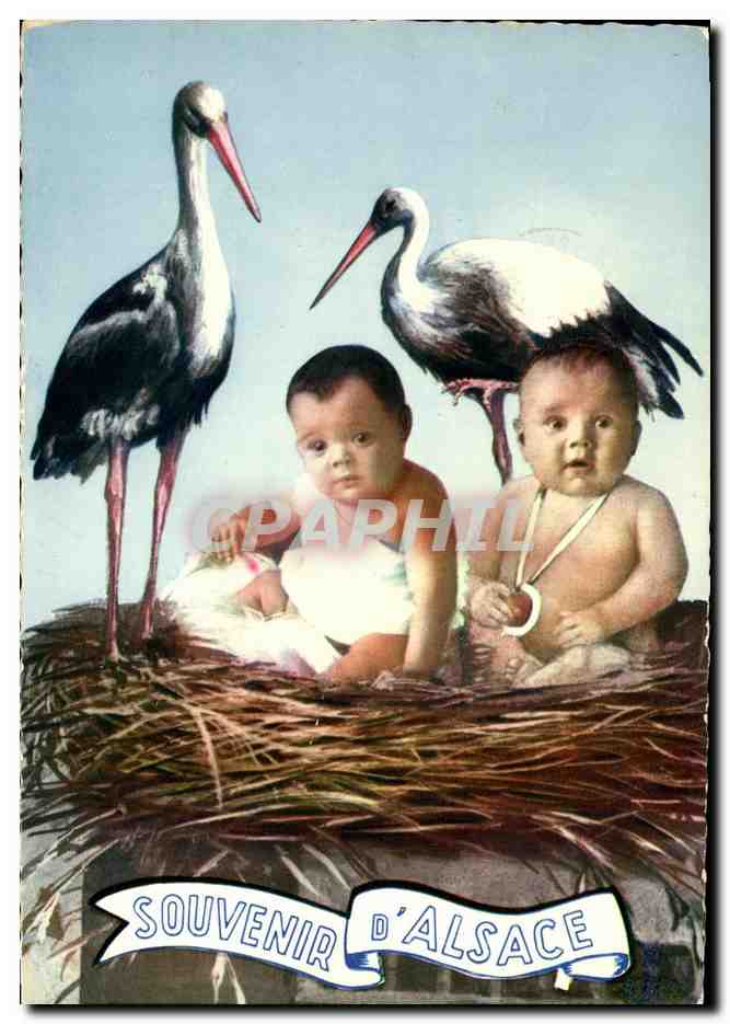CPSM Fantaisie Enfants Souvenir d Alsace Cigognes