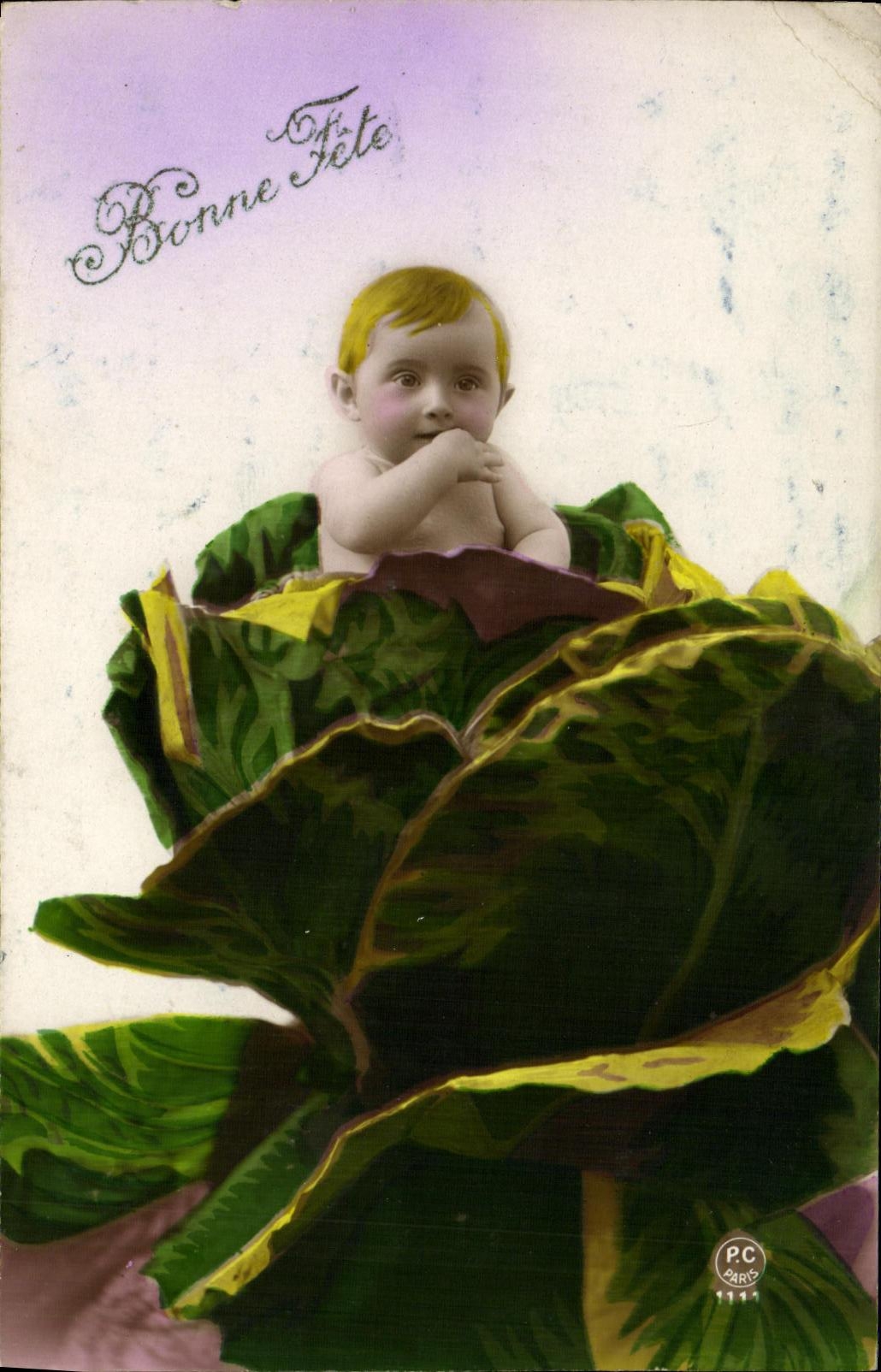 CPA Fantaisie Enfant Bebe dans les choux 