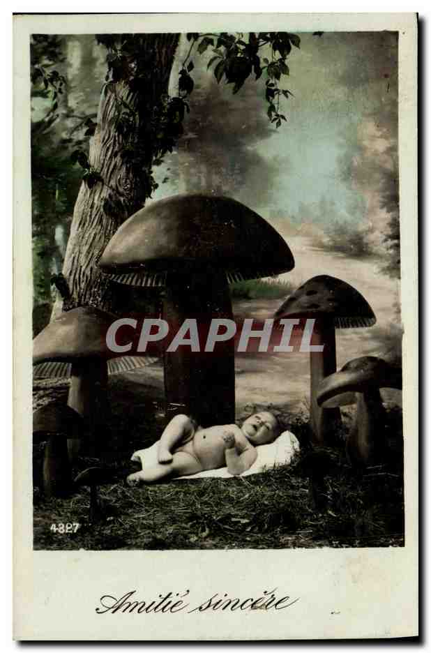 CPA Fantaisie Enfant Bebe Champignons