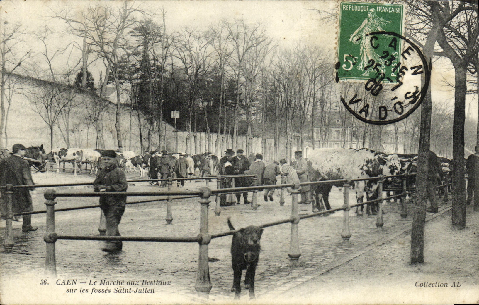CAEN — Le Marché aux Bestiaux sur les fossés Saint-Julien — Collection AL