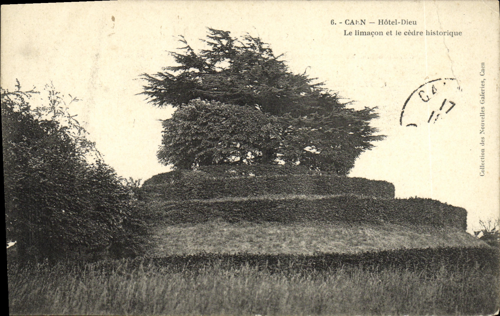 CPA Caen L Hotel Dieu Le Limacon et le cedre historique 