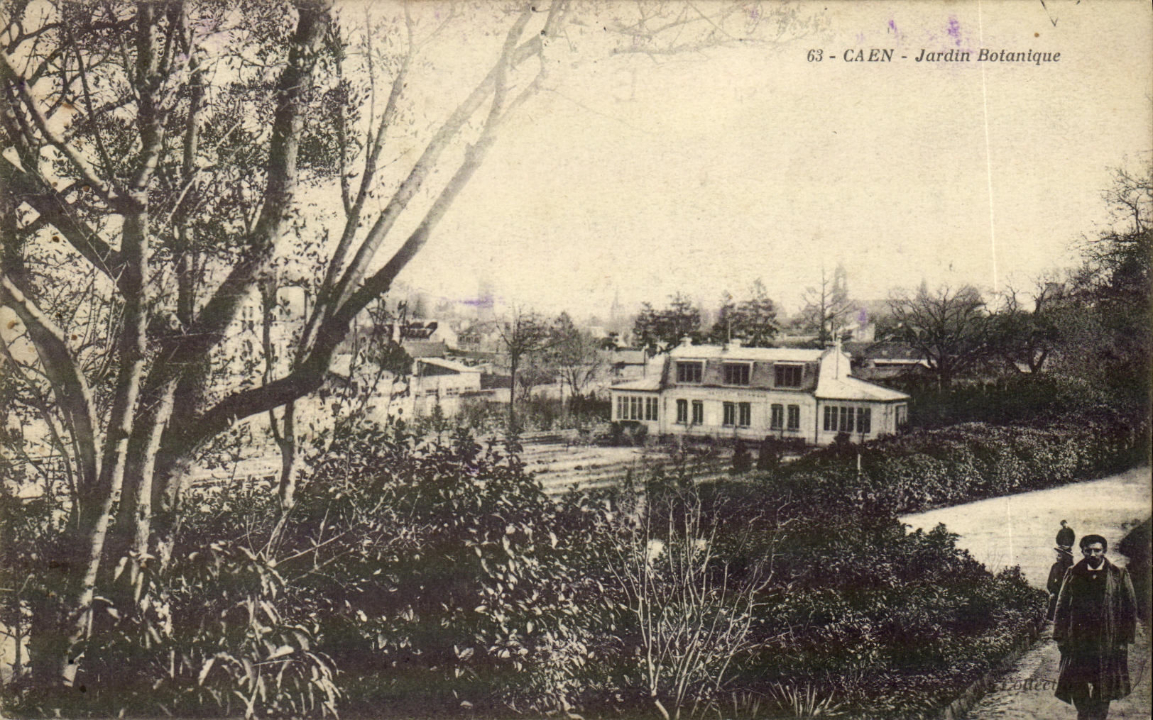 CPA Caen Le Jardin des Plantes Botanique