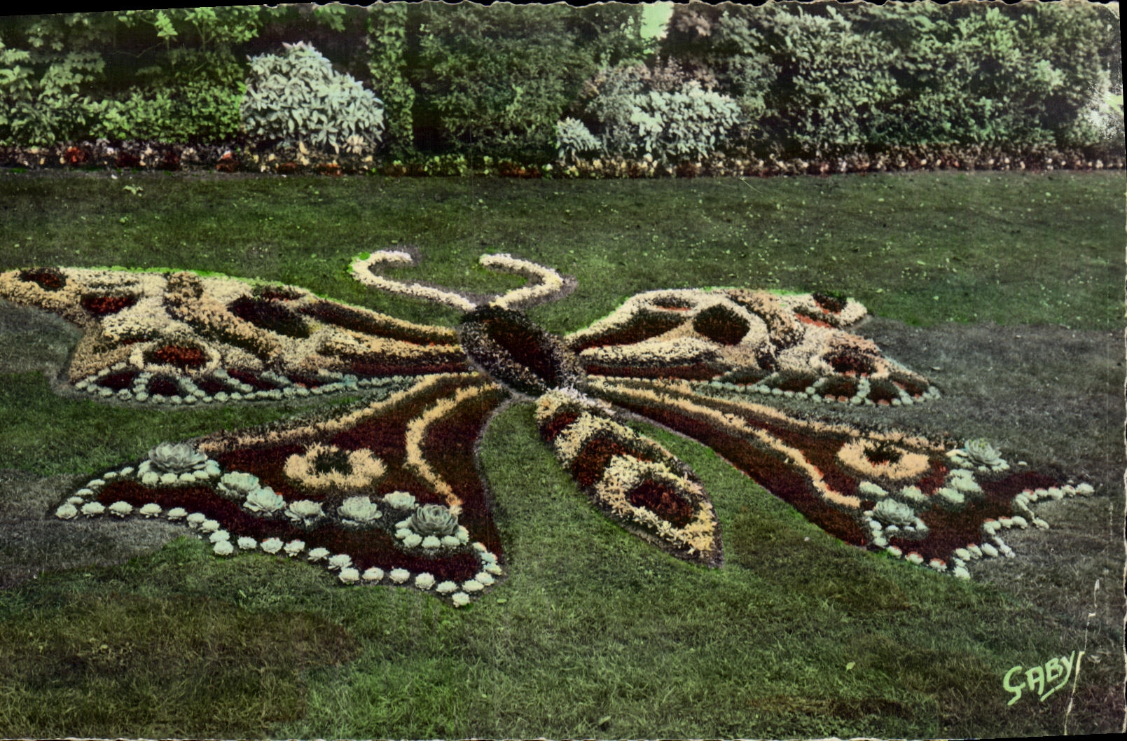 CPM Caen Le Jardin des Plantes Papillon