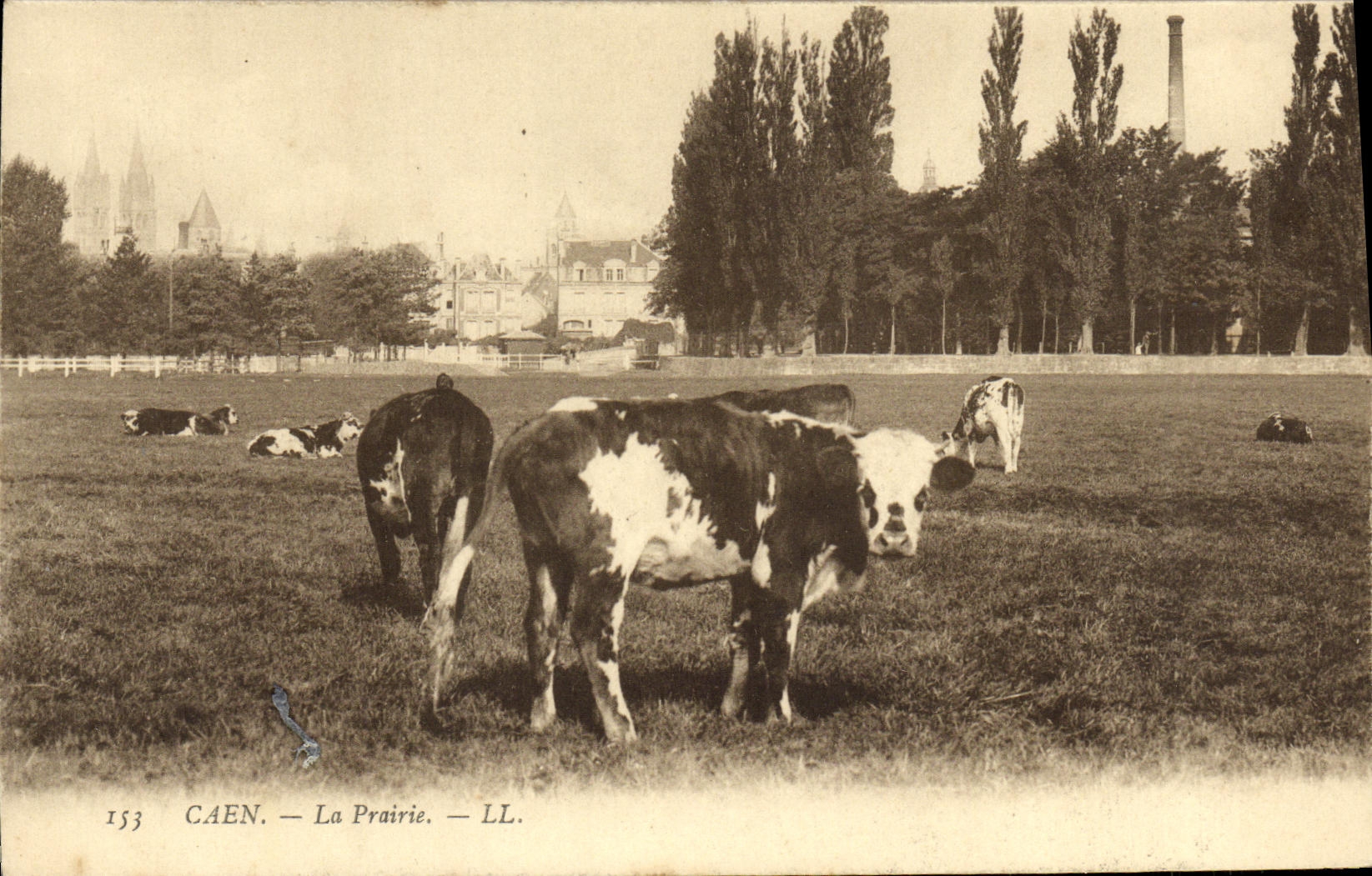 CPA Caen La Prairie Vaches