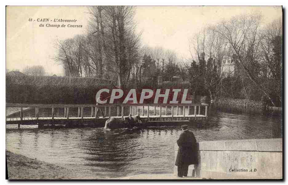 CPA Caen L Abreuvoir du Champ de Courses Cheval Hippisme