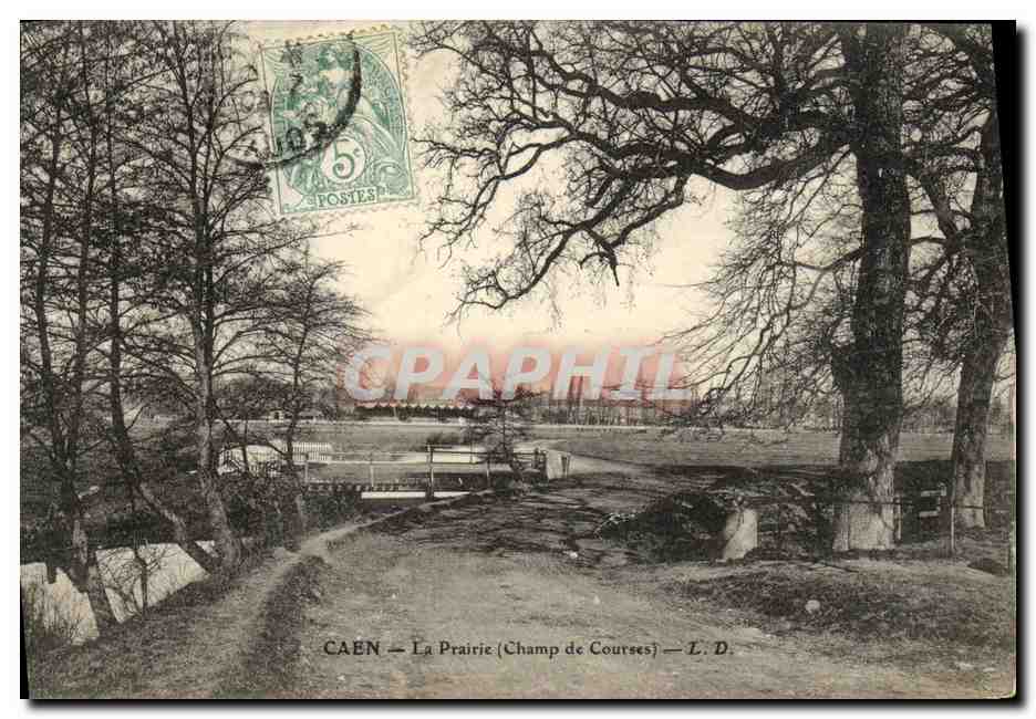 CPA Caen La Prairie Champ de Courses Hippisme Chevaux