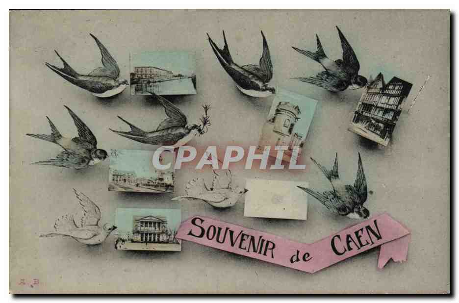 CPA Souvenir de Caen Hirondelles